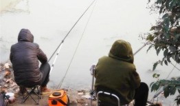 钓鱼爆料视频最新版大全,揭秘钓鱼技巧与实战经验汇总