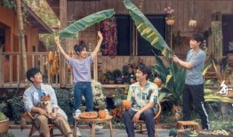 向往5最新爆料,明星们的新奇生活大揭秘！